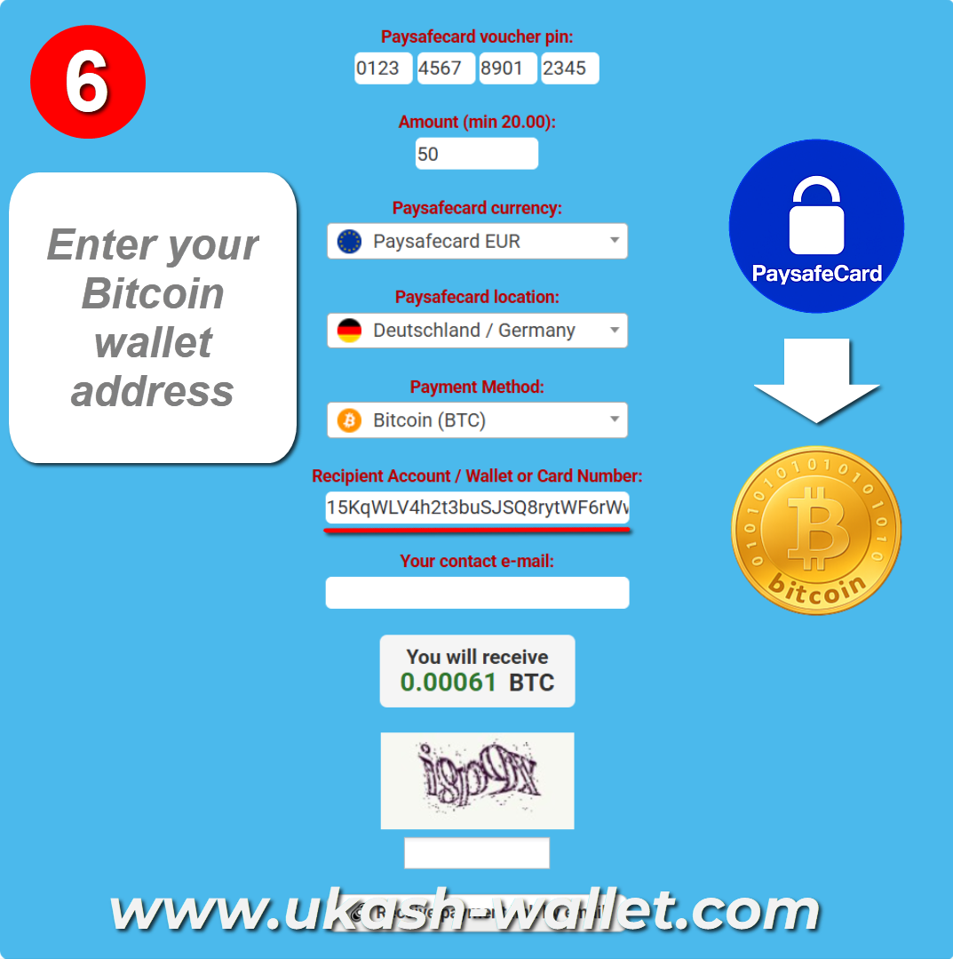 Enter Your Bitcoin Wallet Address
